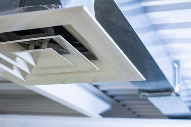 Best Home Air Vent Cleaning  in Williston, ND